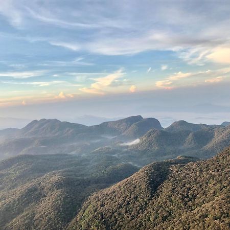 Hotel Mango Tree Nearest Adam'S Peak 纳拉坦尼亚 外观 照片