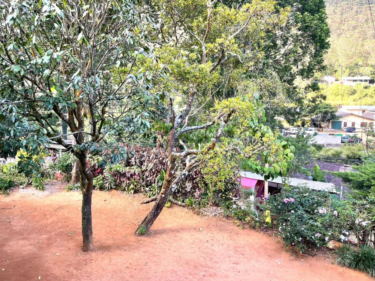 Hotel Mango Tree Nearest Adam'S Peak 纳拉坦尼亚 外观 照片