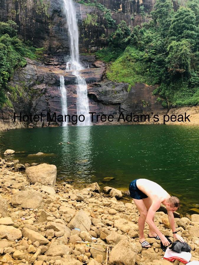 Hotel Mango Tree Nearest Adam'S Peak 纳拉坦尼亚 外观 照片