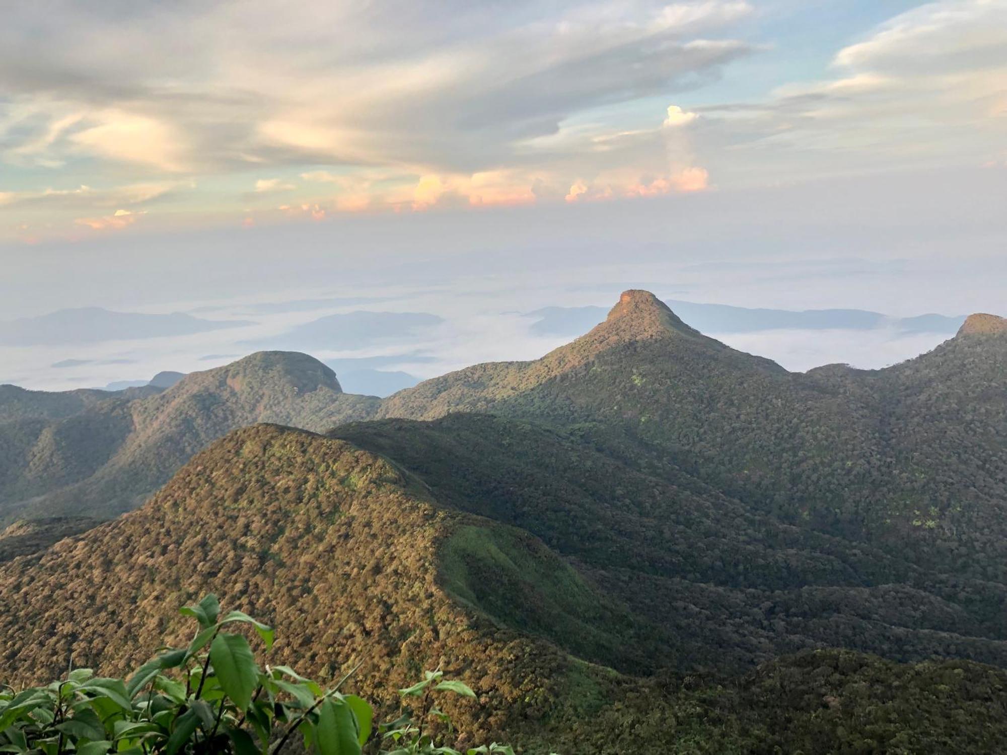 Hotel Mango Tree Nearest Adam'S Peak 纳拉坦尼亚 外观 照片