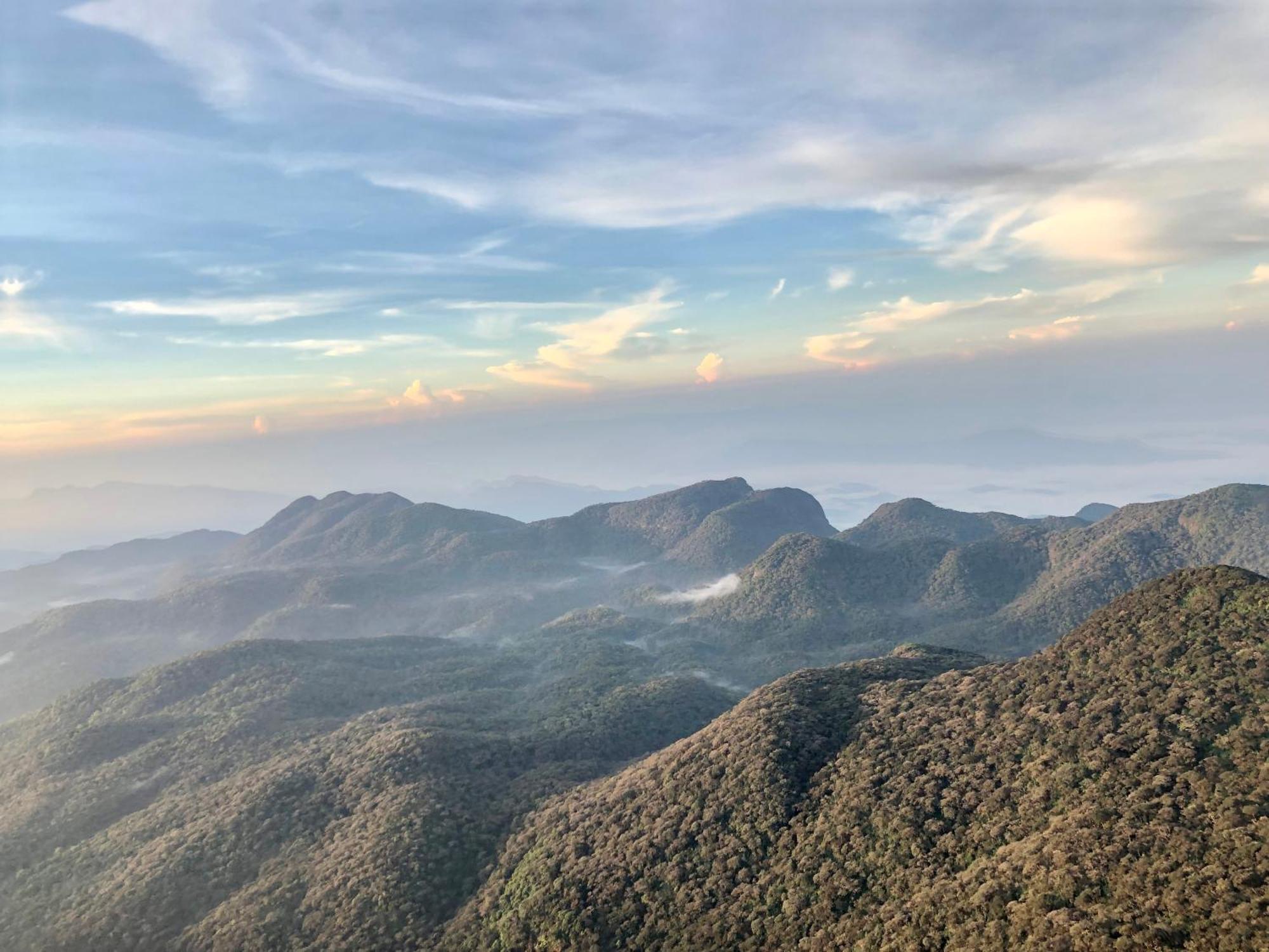 Hotel Mango Tree Nearest Adam'S Peak 纳拉坦尼亚 外观 照片