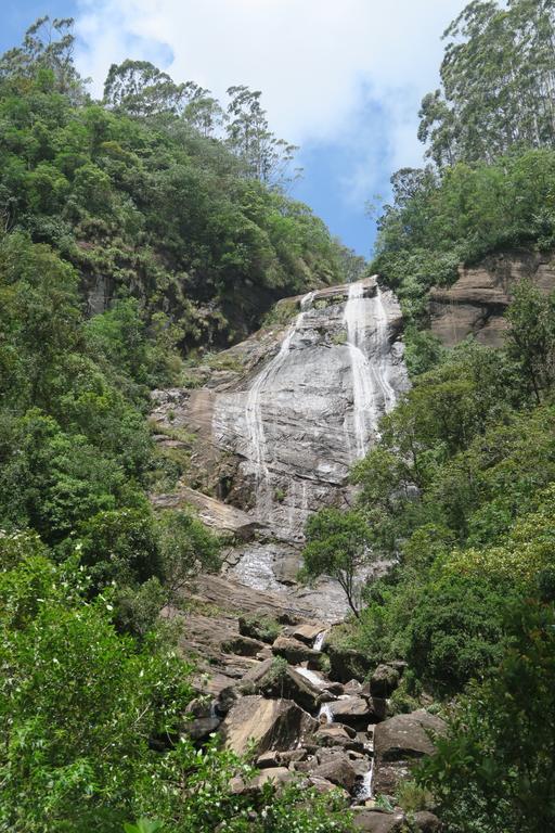 Hotel Mango Tree Nearest Adam'S Peak 纳拉坦尼亚 外观 照片