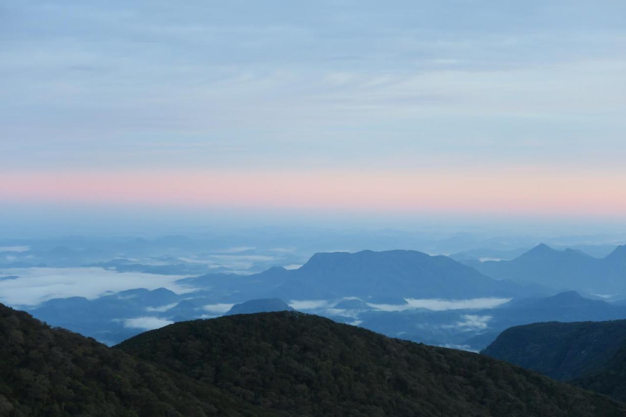 Hotel Mango Tree Nearest Adam'S Peak 纳拉坦尼亚 外观 照片